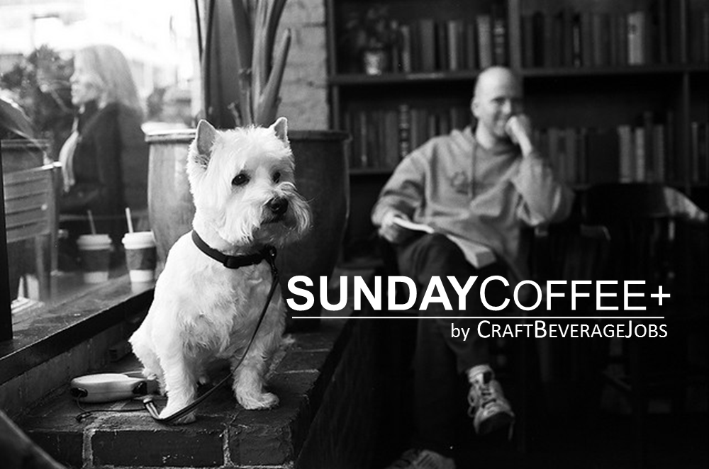 sunday coffee dog cbj
