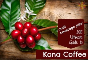 Guide to Kona Coffee