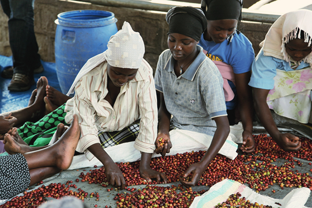 rwanda coffee workers