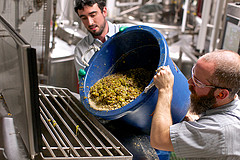 beer jobs: the ultimate guide to a career in craft beer