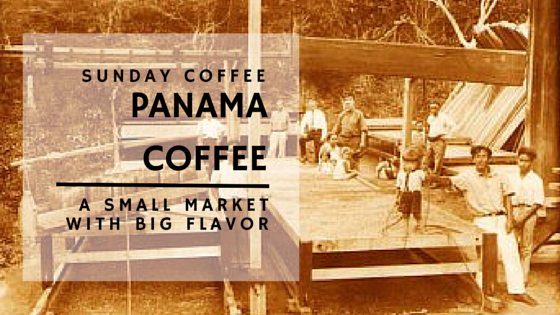 panama coffee