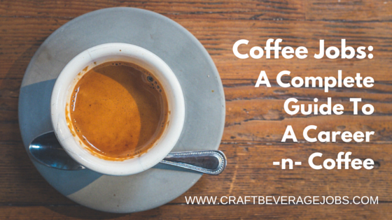 Coffee jobs: A complete guide to a Career in Coffee