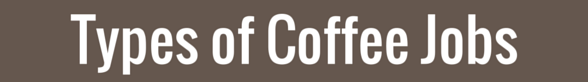 Types of Coffee Jobs